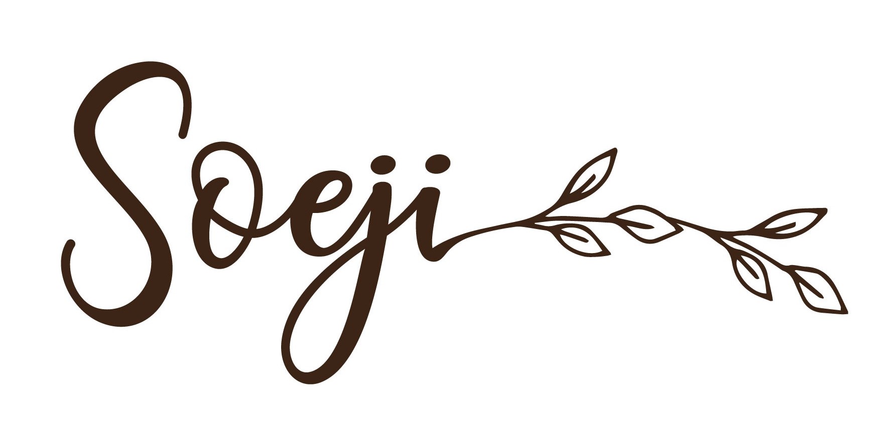 Logo Soeji